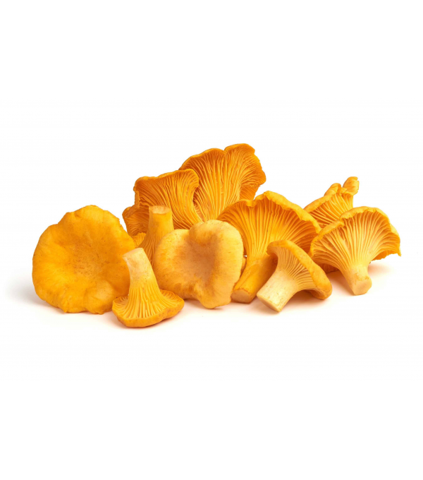 Vente en gros CHANTERELLE JAUNE VIALADE - cash-alimentaire.com
