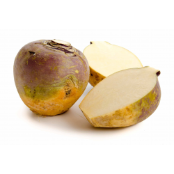 Fournisseur alimentaire de RUTABAGA LA LEGUMIERE - cash-alimentaire.com
