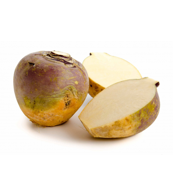 Fournisseur alimentaire de RUTABAGA LA LEGUMIERE - cash-alimentaire.com
