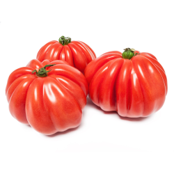 Distributeur alimentaire de TOMATE COEUR DE BOEUF CASE - cash-alimentaire.com
