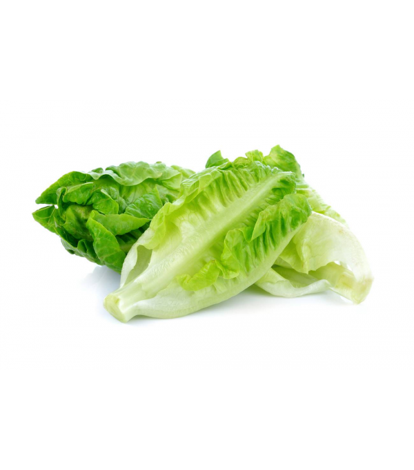Destockage COEUR DE ROMAINE GENERICA - cash-alimentaire.com
