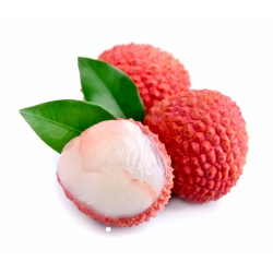 Distributeur alimentaire de LITCHI MADAGASCAR DELICIO FRUTAS - cash-alimentaire.com
