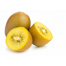 Acheter en gros KIWI JAUNE CASE - cash-alimentaire.com
