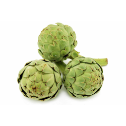 Acheter en gros ARTICHAUT GREEN QUEEN MAS - cash-alimentaire.com