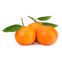 Acheter en gros CLEMENTINE ORRI CLASS 1 MEHADRIN - cash-alimentaire.com
