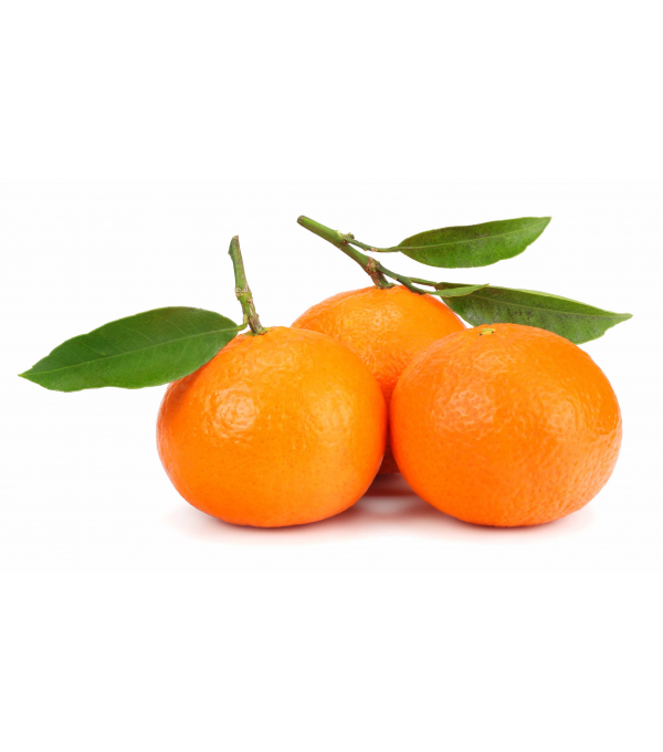 Acheter en gros CLEMENTINE ORRI CLASS 1 MEHADRIN - cash-alimentaire.com
