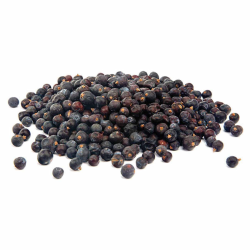 BAIES DE GENIEVRE ESPIG au prix de gros - cash-alimentaire.com