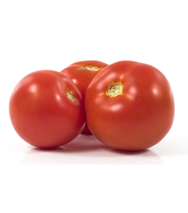 Distributeur alimentaire de TOMATE RONDE AEROS - cash-alimentaire.com