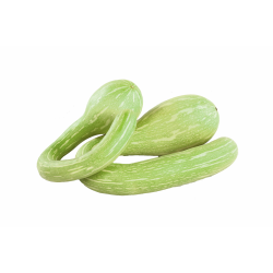 COURGETTE TROMPETTE CASE produits de gros - cash-alimentaire.com