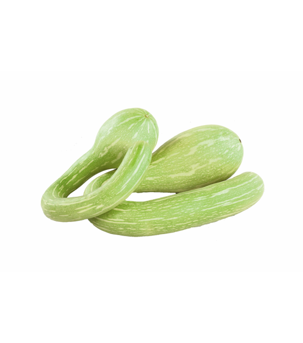 COURGETTE TROMPETTE CASE produits de gros - cash-alimentaire.com