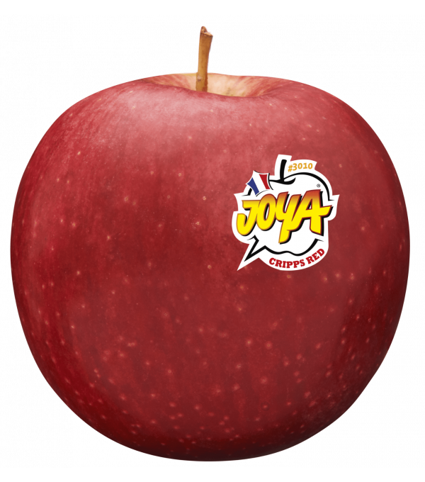 Distributeur alimentaire de POMME JOYA - cash-alimentaire.com
