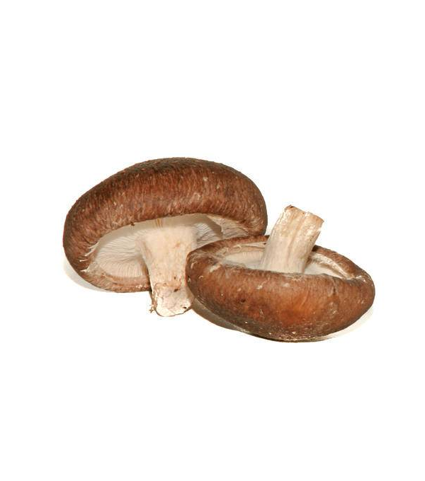 Grossiste alimentaire de CHAMPIGNON SHITAKE VIALADE - cash-alimentaire.com
