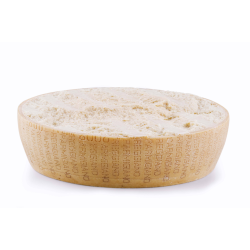Vente en gros PARMESAN REGGIANO DEMIE MEULE LE KG - cash-alimentaire.com