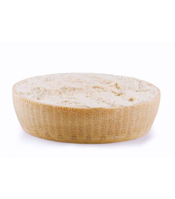 Vente en gros PARMESAN REGGIANO DEMIE MEULE LE KG - cash-alimentaire.com