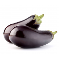 AUBERGINE NOIRE STANDARD ESPAGNE LE KG CAL 12 (-+-450GR)