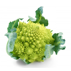 Destockage CHOU ROMANESCO sur cash-alimentaire.com