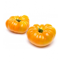 TOMATE JAUNE ANANAS PAYSAN CATALANS à prix grossiste sur cash-alimentaire.com
