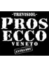TREVISIOL